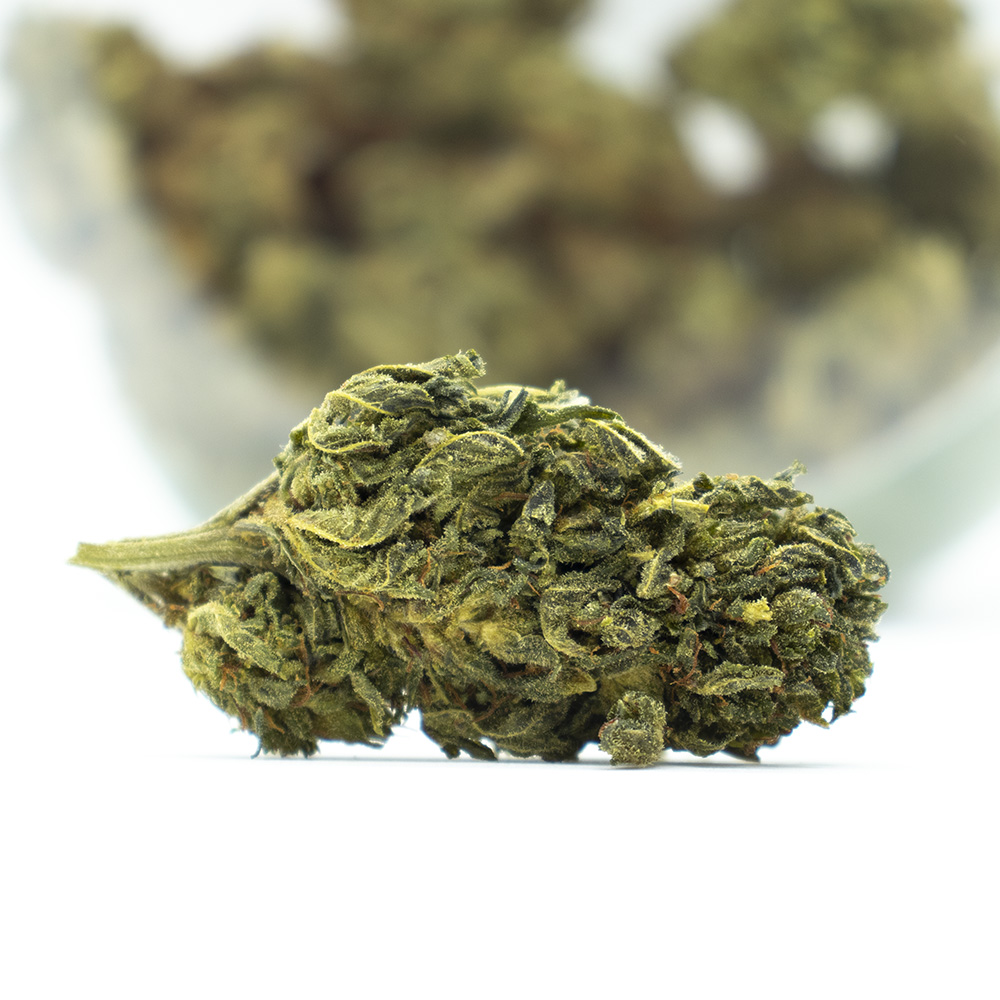 CBD Toulouse : comment le cannabidiol s’installe dans la Ville Rose