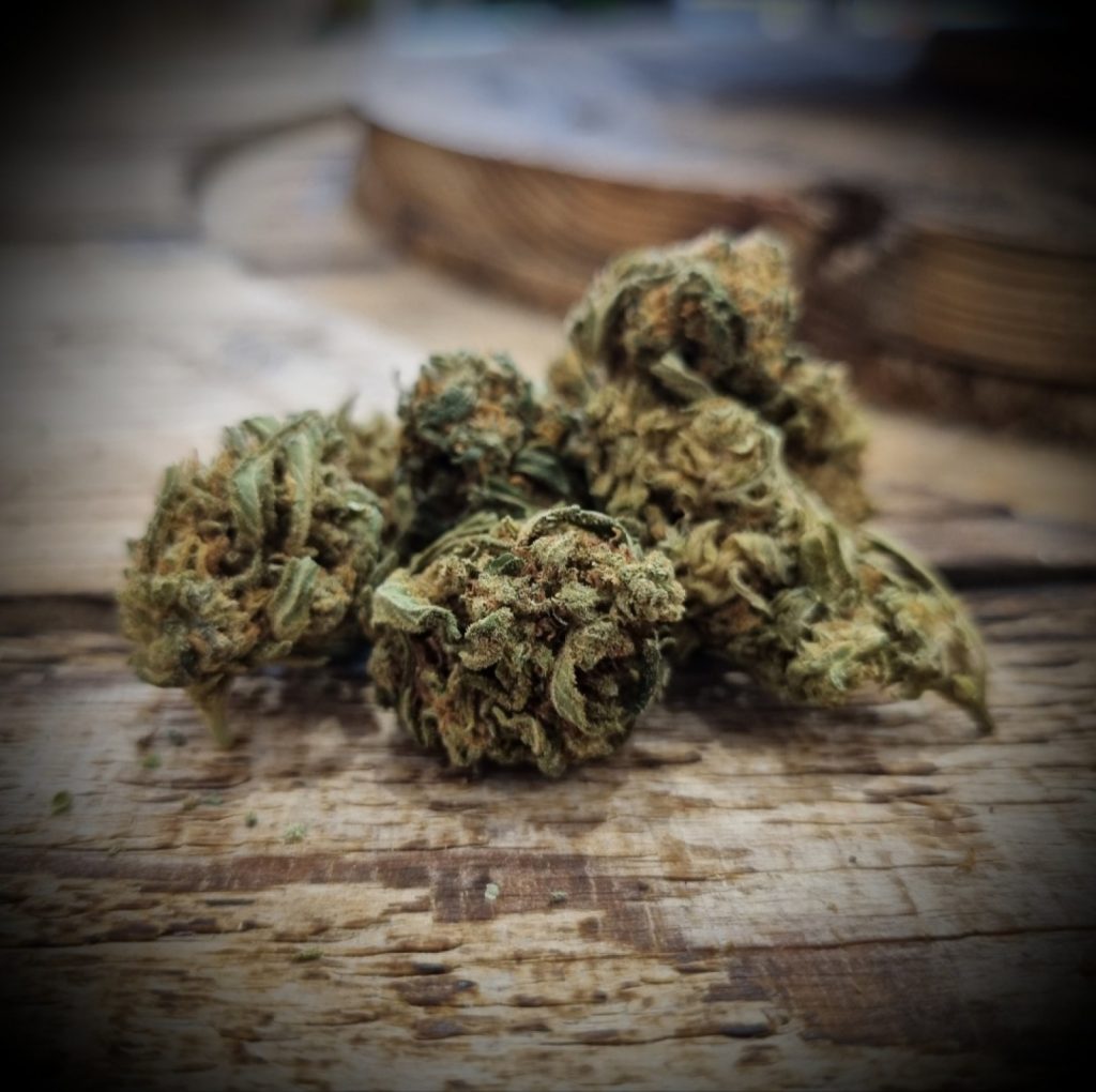 CBD Pau : La nature et la détente au pied des Pyrénées