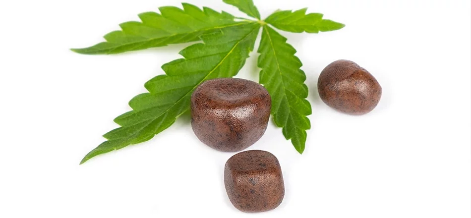 CBD Bordeaux : découvrez les vertus du bien-être au cœur de la capitale girondine